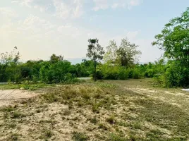  Grundstück zu verkaufen in Chom Thong, Chiang Mai, 