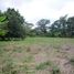  Land for sale in Alajuela, Orotina, Alajuela