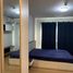 คอนโด 1 ห้องนอน ให้เช่า ในโครงการ ศุภาลัย ซิตี้ รีสอร์ท สถานีแบริ่ง สุขุมวิท 105, บางนา