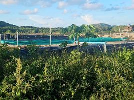 ขายที่ดิน ใน เมืองภูเก็ต ภูเก็ต, รัษฎา, เมืองภูเก็ต, ภูเก็ต