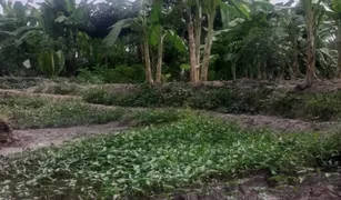 素叻 利巴诺伊 N/A 土地 售 