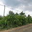  Land for sale in Si Thep, Phetchabun, Khlong Krachang, Si Thep