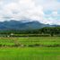 在清莱出售的 土地, Pong Phrae, Mae Lao, 清莱