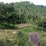  Land for sale in Koh Samui, Lipa Noi, Koh Samui