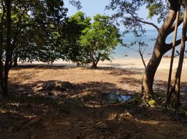  Grundstück zu verkaufen in Nuea Khlong, Krabi, Ko Si Boya, Nuea Khlong