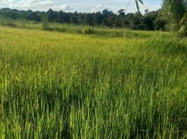  Grundstück zu verkaufen in Chaturaphak Phiman, Roi Et, I Ngong, Chaturaphak Phiman