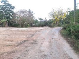  Land for sale in Krabi, Ko Lanta Yai, Ko Lanta, Krabi