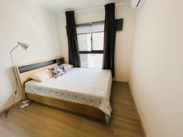 1 Schlafzimmer Appartement zu vermieten im The Parkland Charan - Pinklao, Bang Yi Khan, Bang Phlat