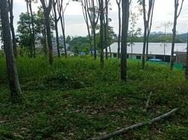  Land for sale in Nong Thale, Mueang Krabi, Nong Thale