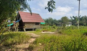 N/A Land for sale in Sai Thai, Krabi 