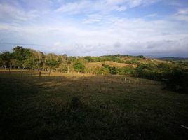  Grundstück zu verkaufen in Tilaran, Guanacaste, Tilaran, Guanacaste