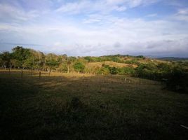  Grundstück zu verkaufen in Tilaran, Guanacaste, Tilaran