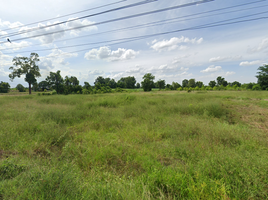  Grundstück zu verkaufen in Nong Ya Sai, Suphan Buri, Nong Ratchawat, Nong Ya Sai