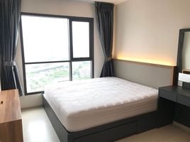 1 Schlafzimmer Wohnung zu vermieten im Life Sukhumvit 48, Phra Khanong