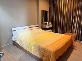 1 Schlafzimmer Appartement zu vermieten im One Plus Suandok 4,5,6, Suthep, Mueang Chiang Mai