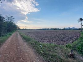  Grundstück zu verkaufen in Pak Tho, Ratchaburi, Don Sai