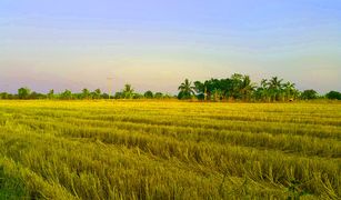 N/A Land for sale in Bang Khanak, Chachoengsao 