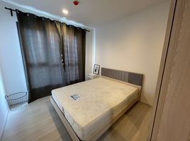 1 Schlafzimmer Wohnung zu vermieten im Life Sukhumvit 48, Phra Khanong