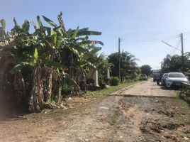  Grundstück zu verkaufen in Takua Thung, Phangnga, Khok Kloi
