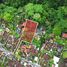  Land for sale in Ubud Art Market, Ubud, Ubud