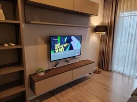 1 Schlafzimmer Wohnung zu vermieten im Amber By Eastern Star, Bang Khen, Mueang Nonthaburi