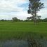  Land for sale in Mueang Surin, Surin, Nok Mueang, Mueang Surin