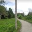  Land for sale in Phuket, Thep Krasattri, Thalang, Phuket