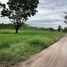  Land for sale in Tan Diao, Kaeng Khoi, Tan Diao