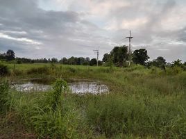  Grundstück zu verkaufen in Ko Kha, Lampang, Ko Kha