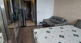 KnightsBridge Prime On Nut 在售单元