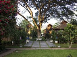 22 Bedroom Hotel for sale in Mae Hong Son, Wiang Tai, Pai, Mae Hong Son