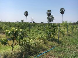  Grundstück zu verkaufen in Wichian Buri, Phetchabun, Phu Toei, Wichian Buri