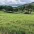  Land for sale in Guanacaste, Tilaran, Guanacaste