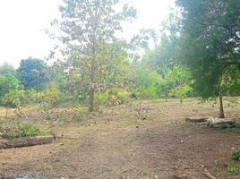 Land for sale in Samoeng Nuea, Samoeng, Samoeng Nuea