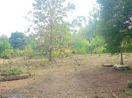  Land for sale in Samoeng, Chiang Mai, Samoeng Nuea, Samoeng