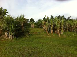  Grundstück zu verkaufen in Thalang, Phuket, Pa Khlok