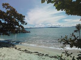  Grundstück zu verkaufen in Thalang, Phuket, Pa Khlok, Thalang