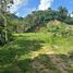  Land for sale in Phuket, Si Sunthon, Thalang, Phuket