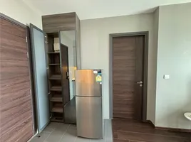 คอนโด 1 ห้องนอน ให้เช่า ในโครงการ ซี เอกมัย, คลองตันเหนือ, วัฒนา