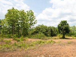  Land for sale in Doi Saket, Chiang Mai, Luang Nuea, Doi Saket