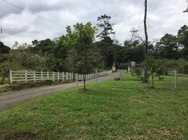  Land for sale in Pococi, Limon, Pococi