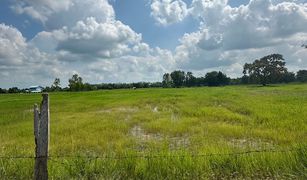 N/A Land for sale in Nong Tat, Buri Ram 