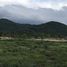 ขายที่ดิน ใน เขาเพิ่ม, นครนายก, เขาเพิ่ม, บ้านนา, นครนายก