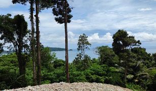 N/A Land for sale in Patong, Phuket 