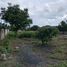  Land for sale in Nong Prue, Pattaya, Nong Prue