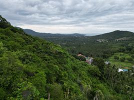  Land for sale in Samui International Airport, Bo Phut, Bo Phut