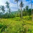  Land for sale in Taling Ngam, Surat Thani, Taling Ngam, Koh Samui, Surat Thani