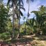  Land for sale in Surat Thani, Maenam, Koh Samui, Surat Thani