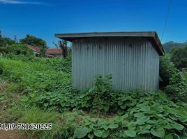  Grundstück zu verkaufen in Taunggye, Shan, Kalaw, Taunggye, Shan