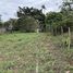  Land for sale in Limon, Siquirres, Limon